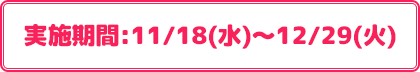 実施期間:11/18(水)～12/29(火)